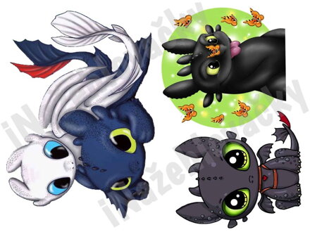 Nažehlovací arch Bezzubka 3