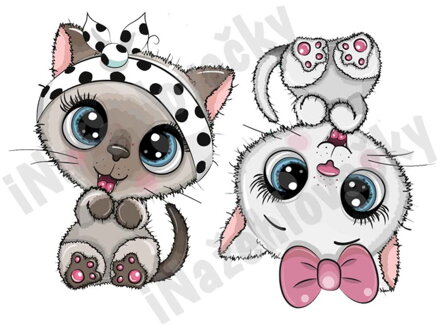 Nažehlovací arch Kočky bílá a černá