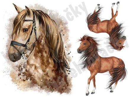 Nažehlovací arch Koně